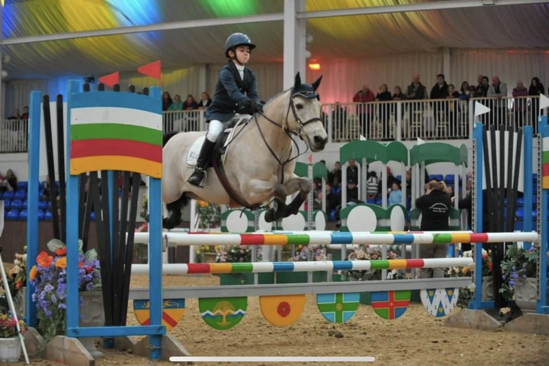 Frisky show jumping
